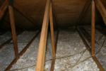 IMG_1598, Eave Wide 2.JPG